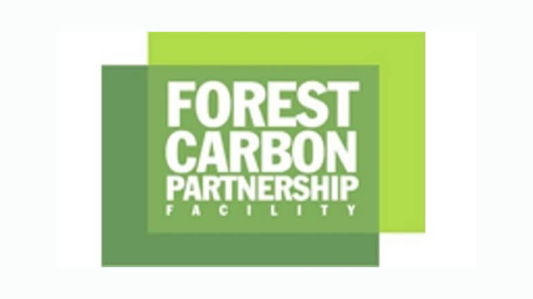 Forest Carbon