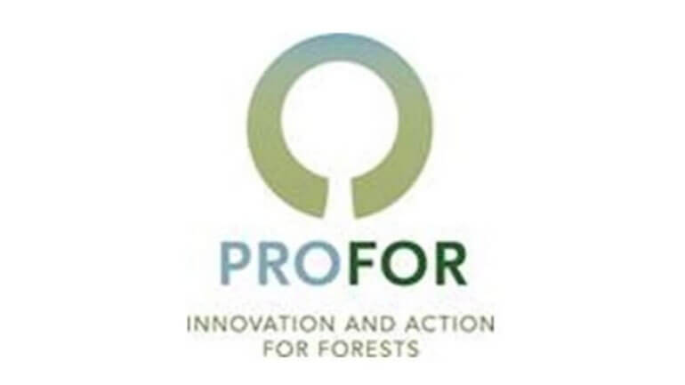 The Program on Forests