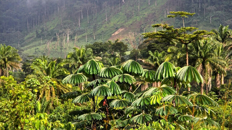 Building Resilience Building Resilience