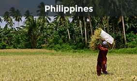 A man carried a bundle of rice across a field in Quezon Province, Philippines