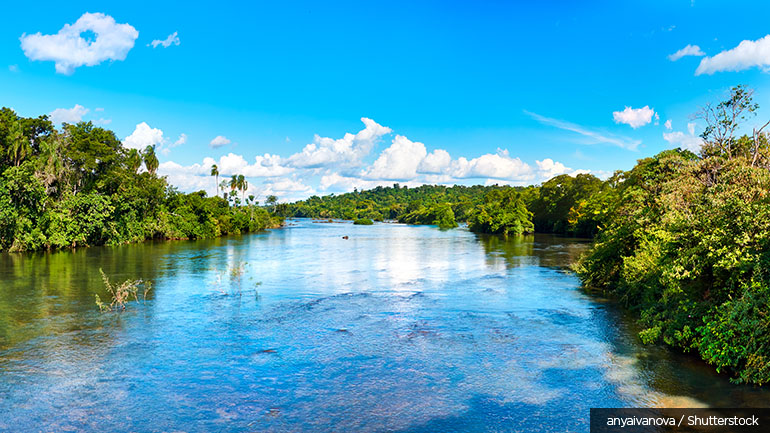 Panoramic view from Iguazu River on shores with sub-tropical rainforest. Iguazu National Park 
