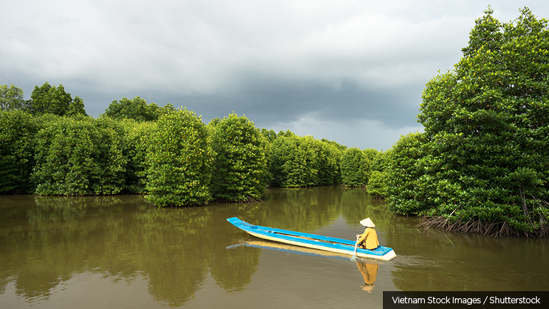 A fishing boat weaves its way through mangrove forest in the Mekong Delta, in southern Viet Nam