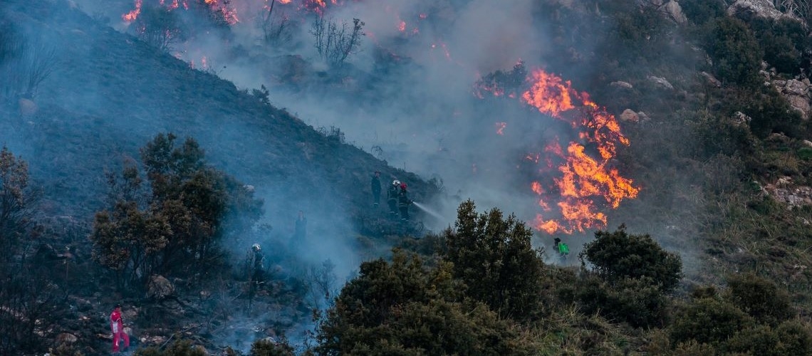 Fires sweeps across a forested hillside in Algeria
