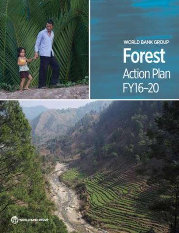 Forest Action Plan