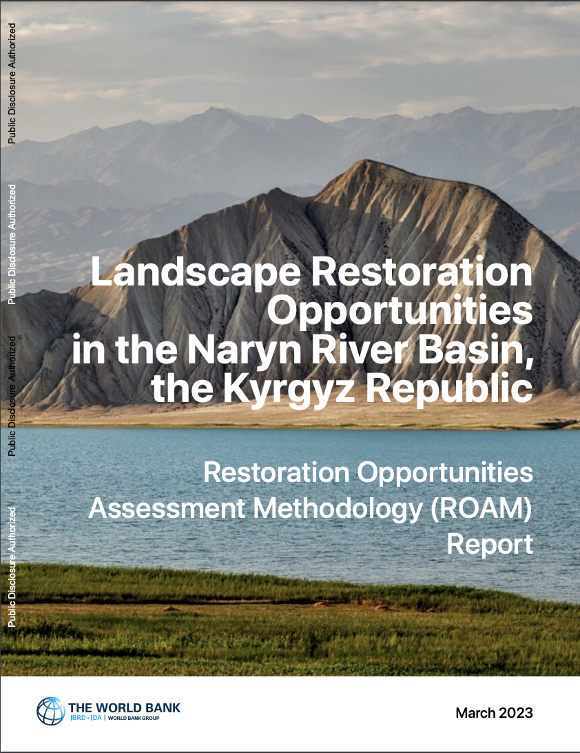 a landscape with mountain 