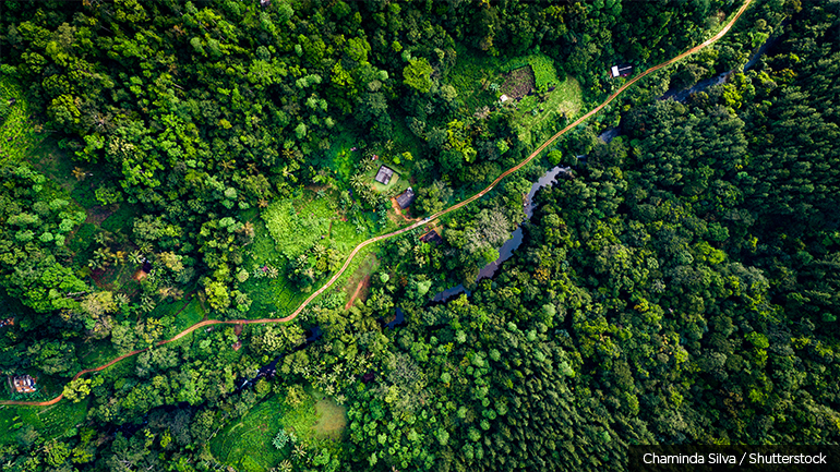 A narrow road winds past a small village in Sinharaja Rainforest
