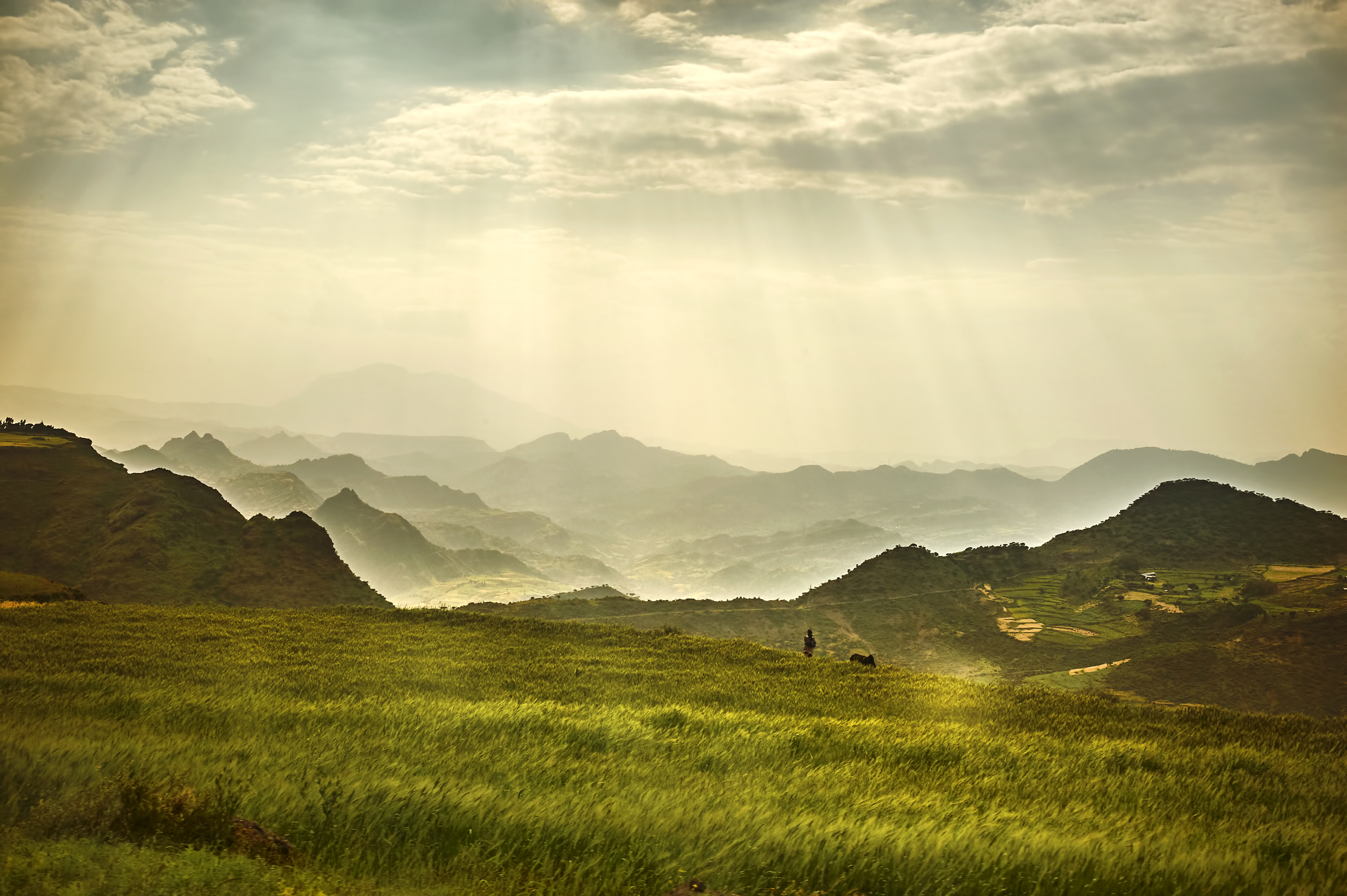 Image of sun shining on landscape