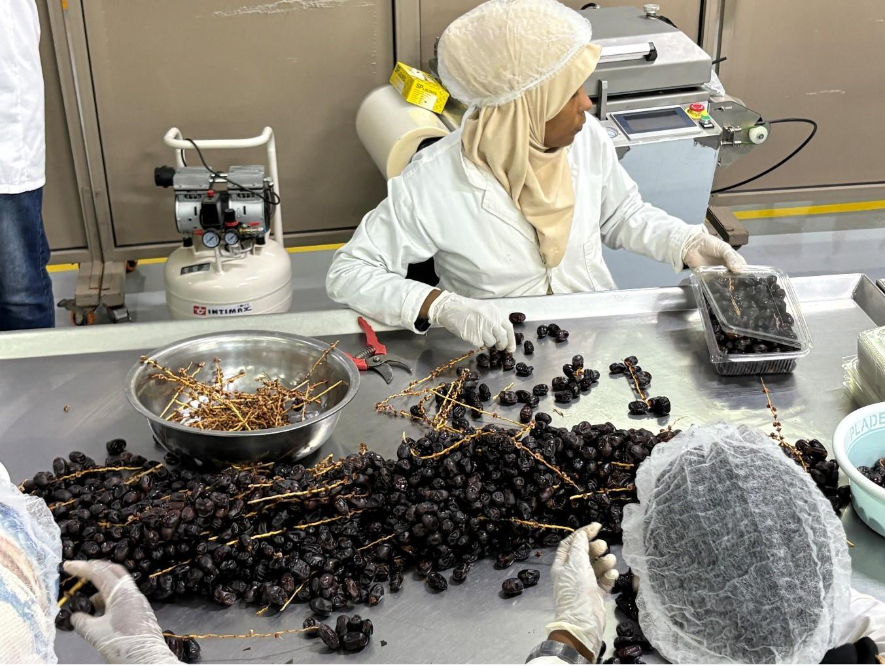 A group of people working in a factory

AI-generated content may be incorrect.