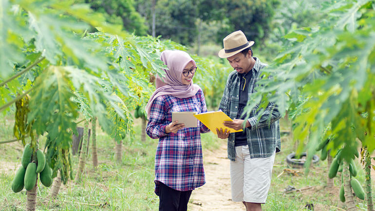 Lessons from the Program on Forests (PROFOR) and New Opportunities from the PROGREEN Partnership for Sustainable Landscapes and Climate Emissions Reduction Fund (CERF).