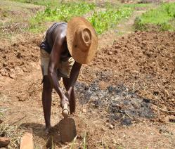 Africa West (Regional)