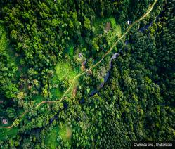 A narrow road winds past a small village in Sinharaja Rainforest