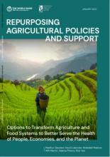 Repurposing Agricultural Policies and Support