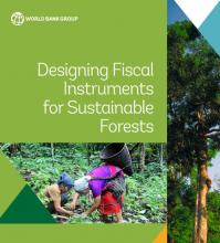 Financial Instruments for Forests