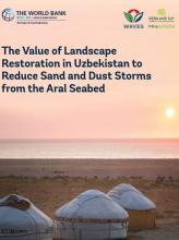 The Value of Landscape Restoration in Uzbekistan to Reduce Sand and Dust Storms from the Aral Seabed