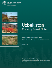 Uzbekistan Country Forest Note