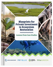 Blueprints for Private Investment in Ecosystem Restoration