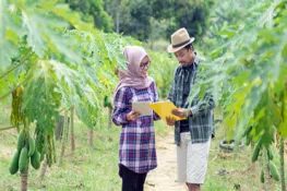 Forest Knowledge and Partnership Initiatives for Impact: Results, Key Tools and New Opportunities