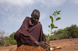 World Bank Plans to Invest over $5 Billion in Drylands in Africa