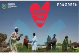 Finance Task Force for the UN Decade on Ecosystem Restoration