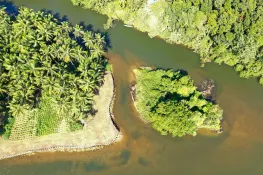 Restoration Revolution: Challenges and Opportunities for Scaling up Financing for Restoration