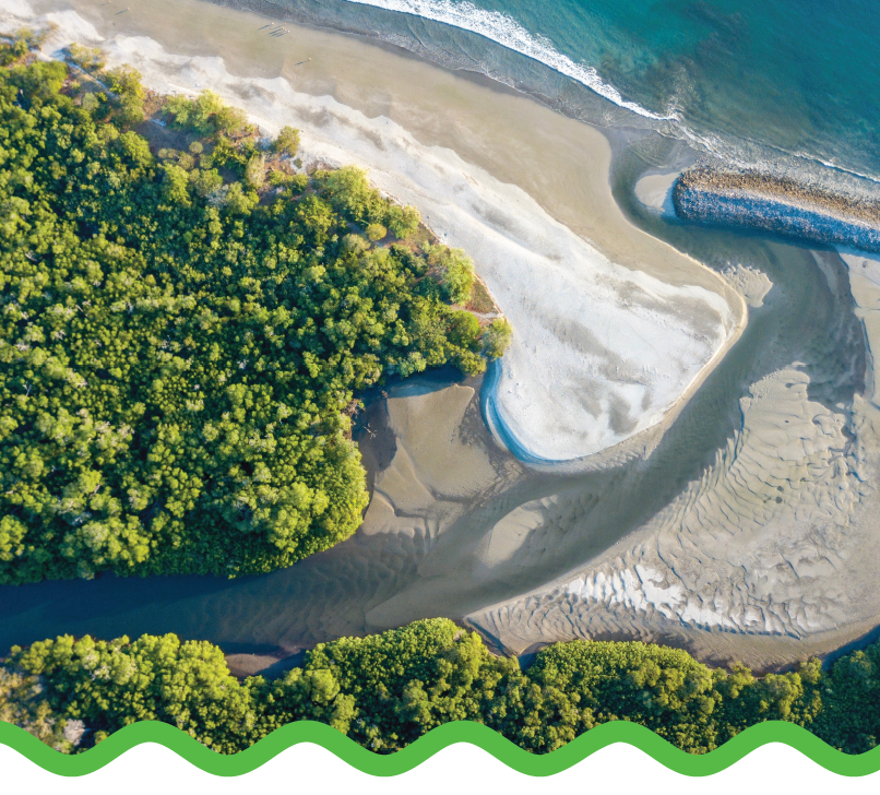 Scaling Up Ecosystem Restoration Finance 