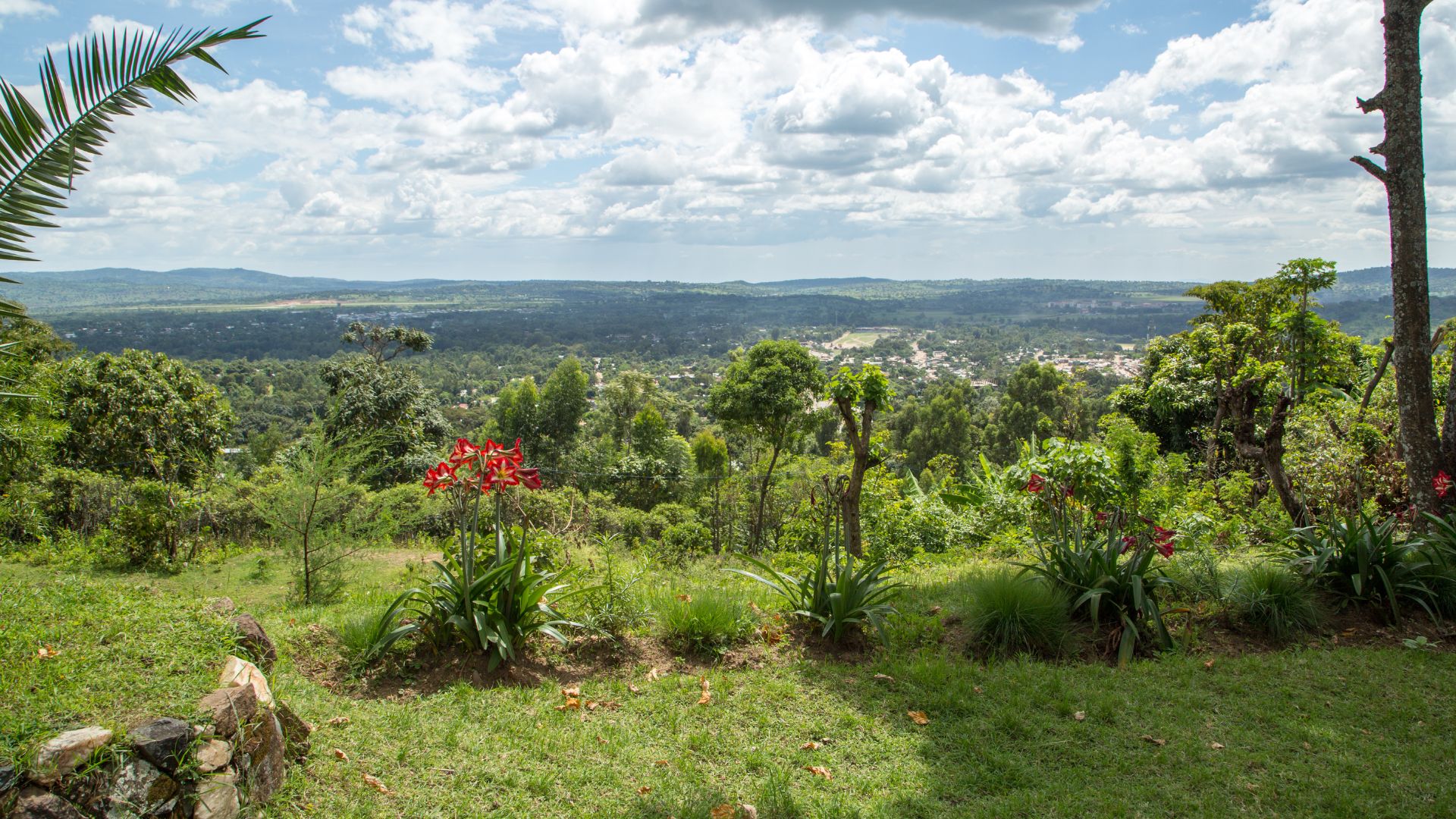 Ethiopia landscape