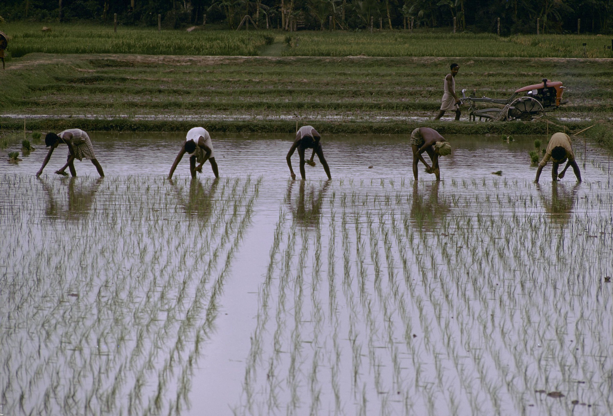 Bangladesh 